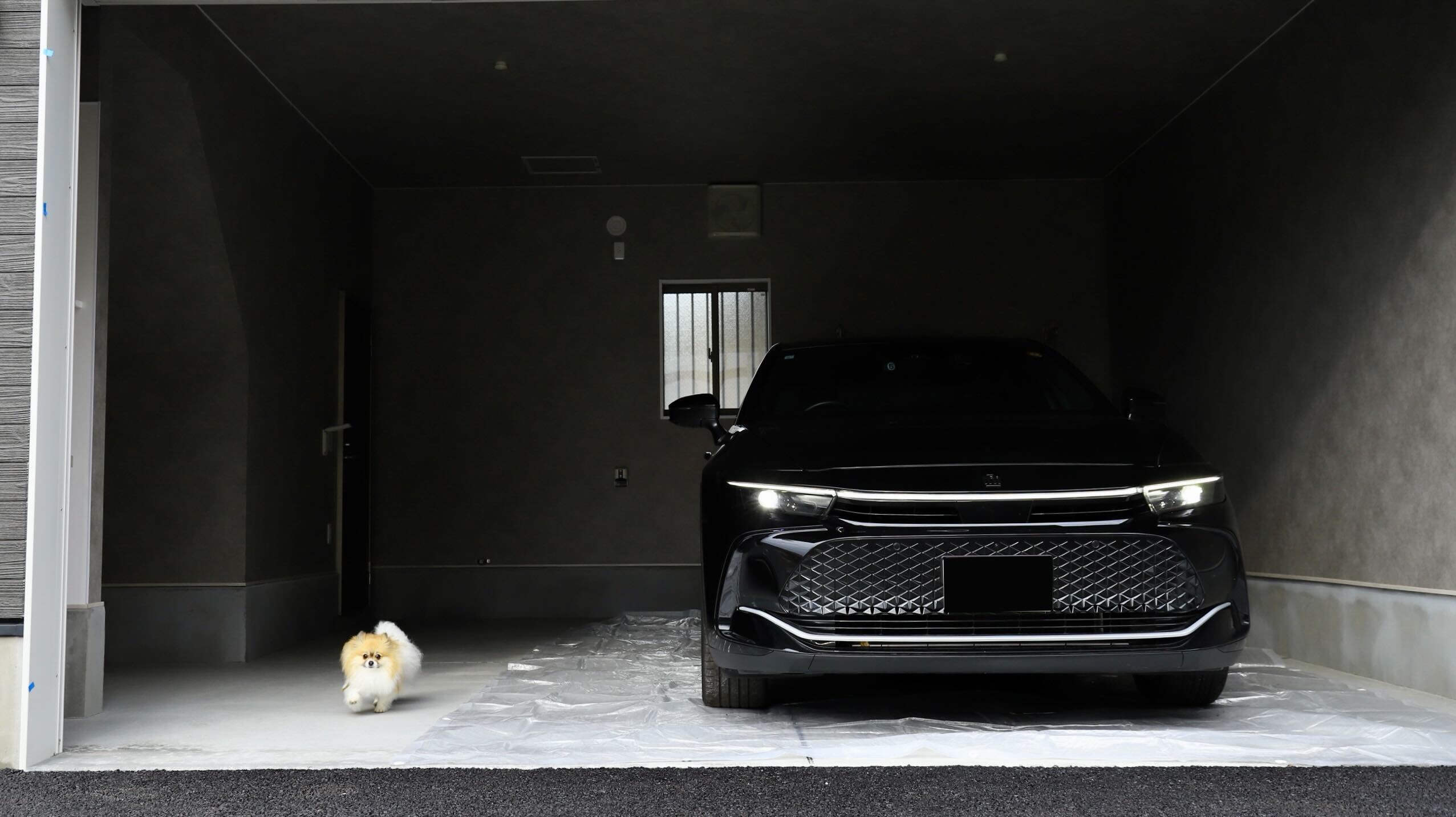 愛車とポメラニアンと暮らす、スタイリッシュなプレミアムガレージハウス