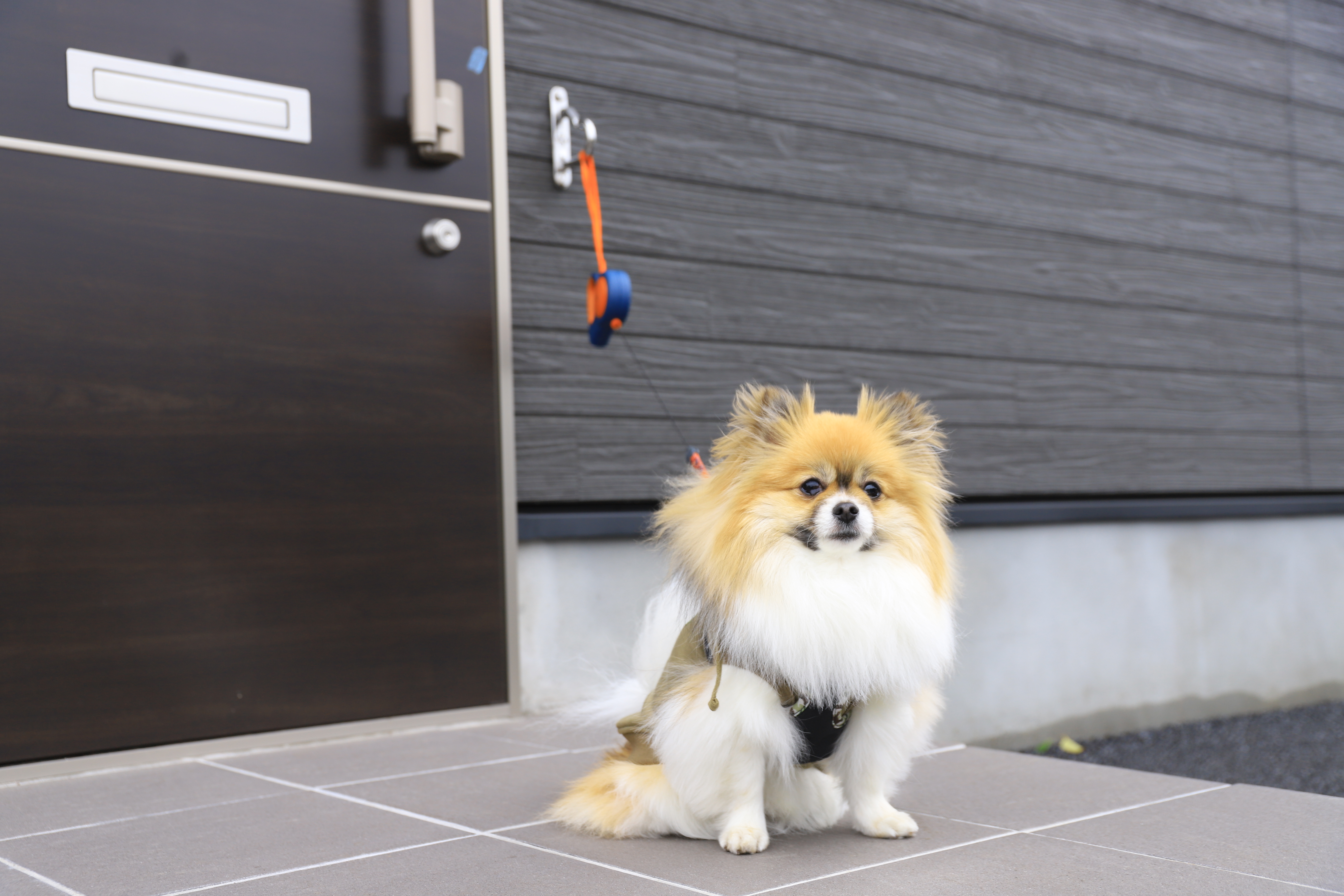 プレミアムガレージハウス富士御殿場の物件写真6