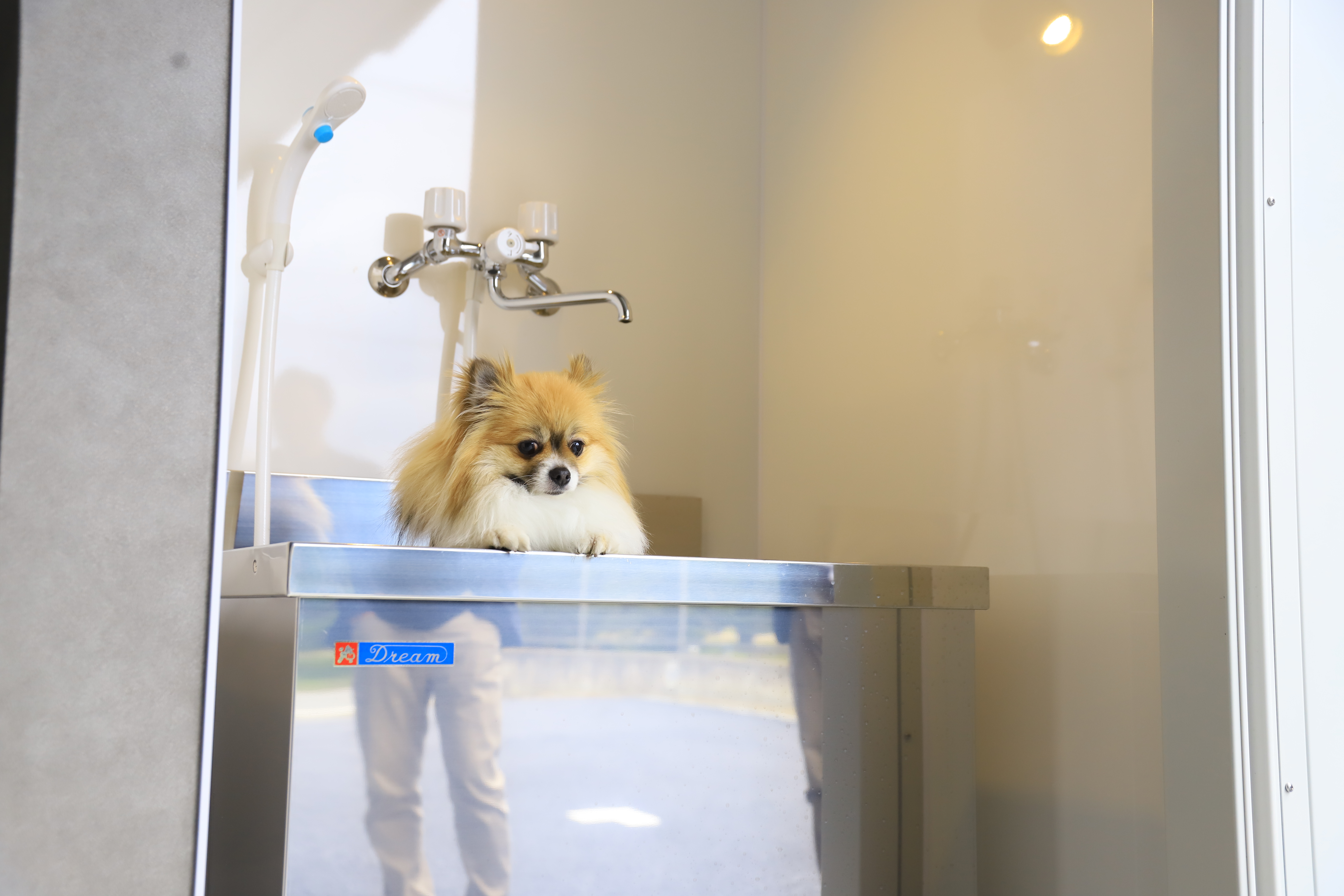 プレミアムガレージハウス富士御殿場の物件写真5